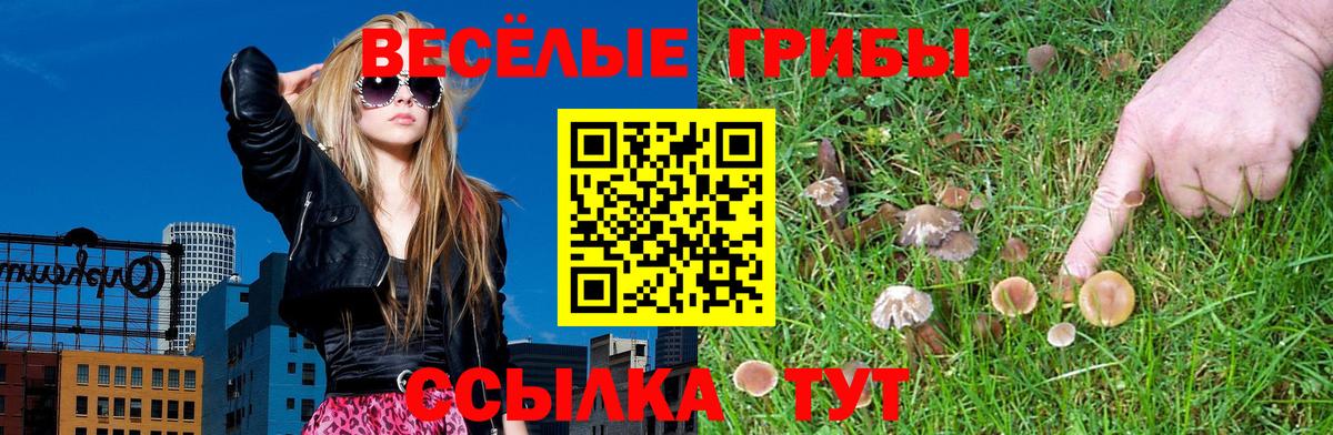 Псилоцибиновые грибы мухоморы Чебаркуль